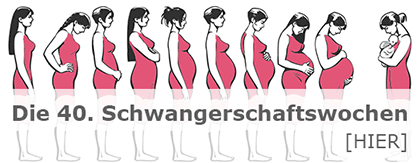 Schwangerschaft, Kinderwunsch und Familie - Mamiweb.de